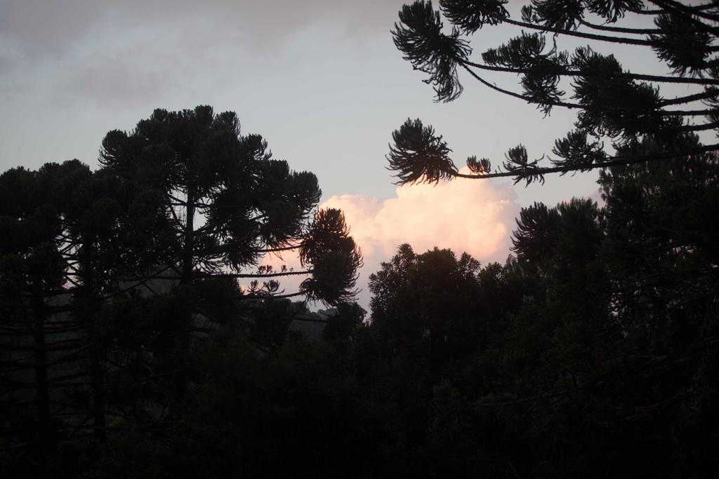 Pousada Sonho Verde Monte Verde  Buitenkant foto